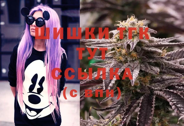 apvp Магас