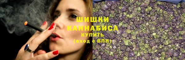 ECSTASY Майский