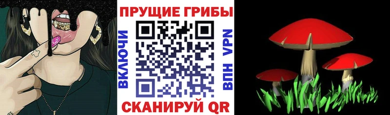 Псилоцибиновые грибы мицелий  МЕГА ONION  Ильский 